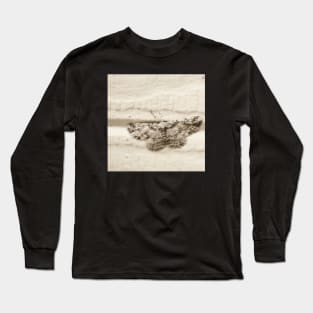 Dream Moth Long Sleeve T-Shirt